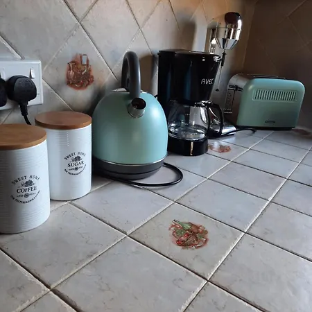 Dom wakacyjny House De Fountas *